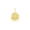 Spider Medal Charm in Yellow Gold